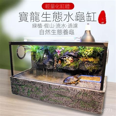 烏龜曬台石頭|【烏龜缸diy】最全烏龜缸布置、造景、換水總整理，新手不煩惱